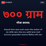 गौर खाजा घर गाँजा