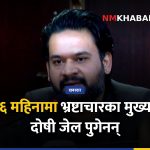 भ्रष्टाचार नियन्त्रण, ज्ञानेन्द्र शाही