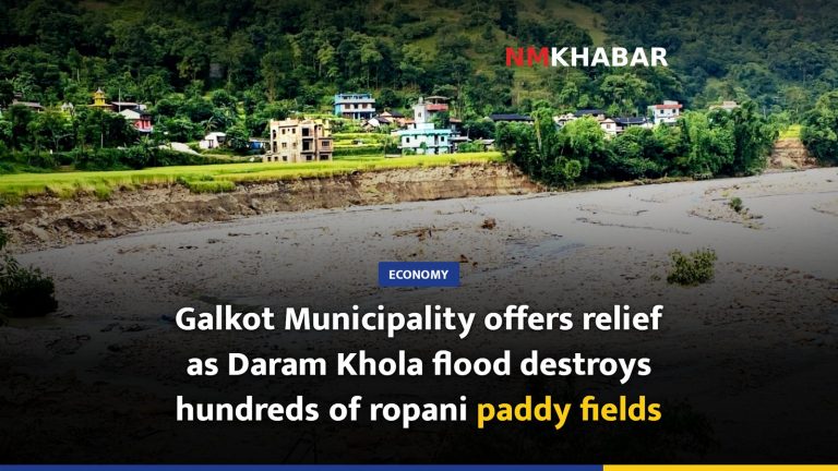 Galkot Municipality offers relief as Daram Khola flood destroys hundreds of ropani paddy fields