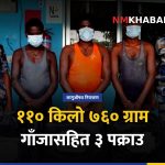 सिरहा गाँजा पक्राउ