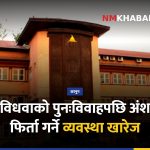 विधवा अंश अधिकार