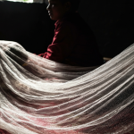 औलोका बिरामी