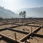 बर्ड फ्लु कोशी