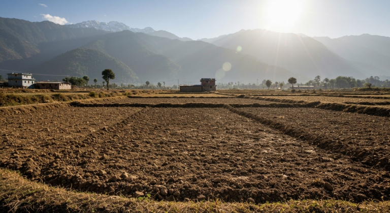 सुकुमवासीलाई जग्गा