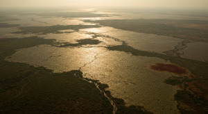 तराईमा गर्मी