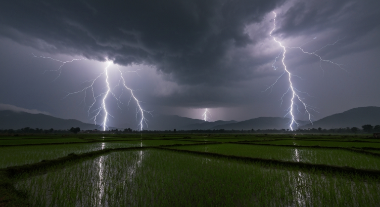 तराईमा भारी वर्षा