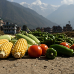 तरकारी बारीमै कुहिँदै