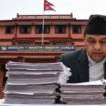 सरकारी बेरुजु