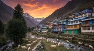 न्यूनतम समर्थन मूल्य
