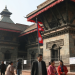 अलपत्र ठेक्कामाथि कारबाही