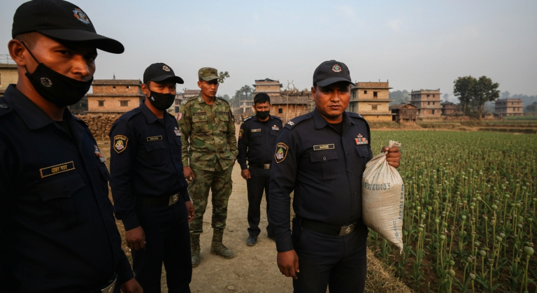 लागूऔषधसहित पक्राउ