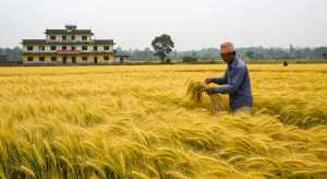 मधेश प्रदेश विकास
