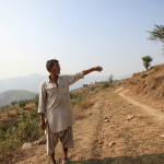 सीमा हस्तक्षेप
