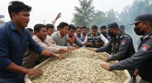 फर्सीको बिउ तस्करी