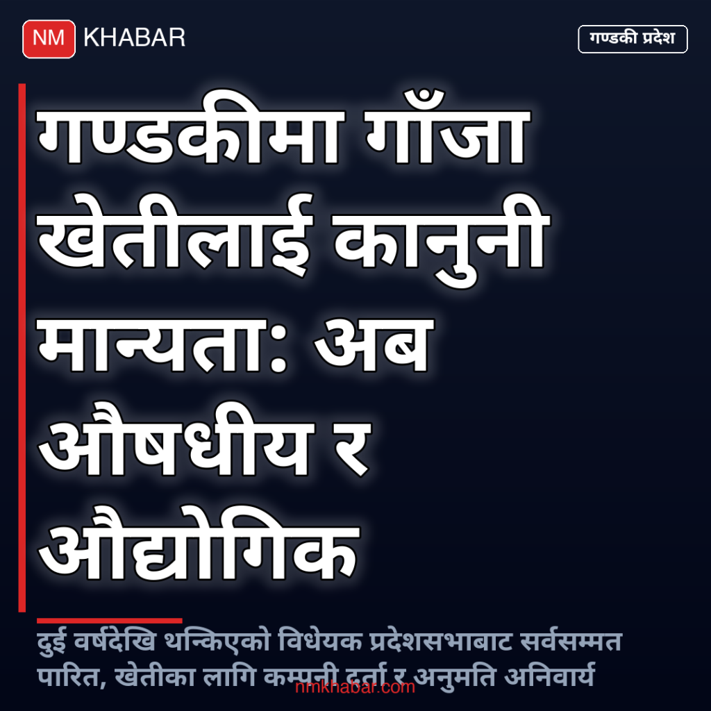 गण्डकी गाँजा खेती