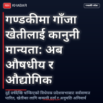 गण्डकी गाँजा खेती