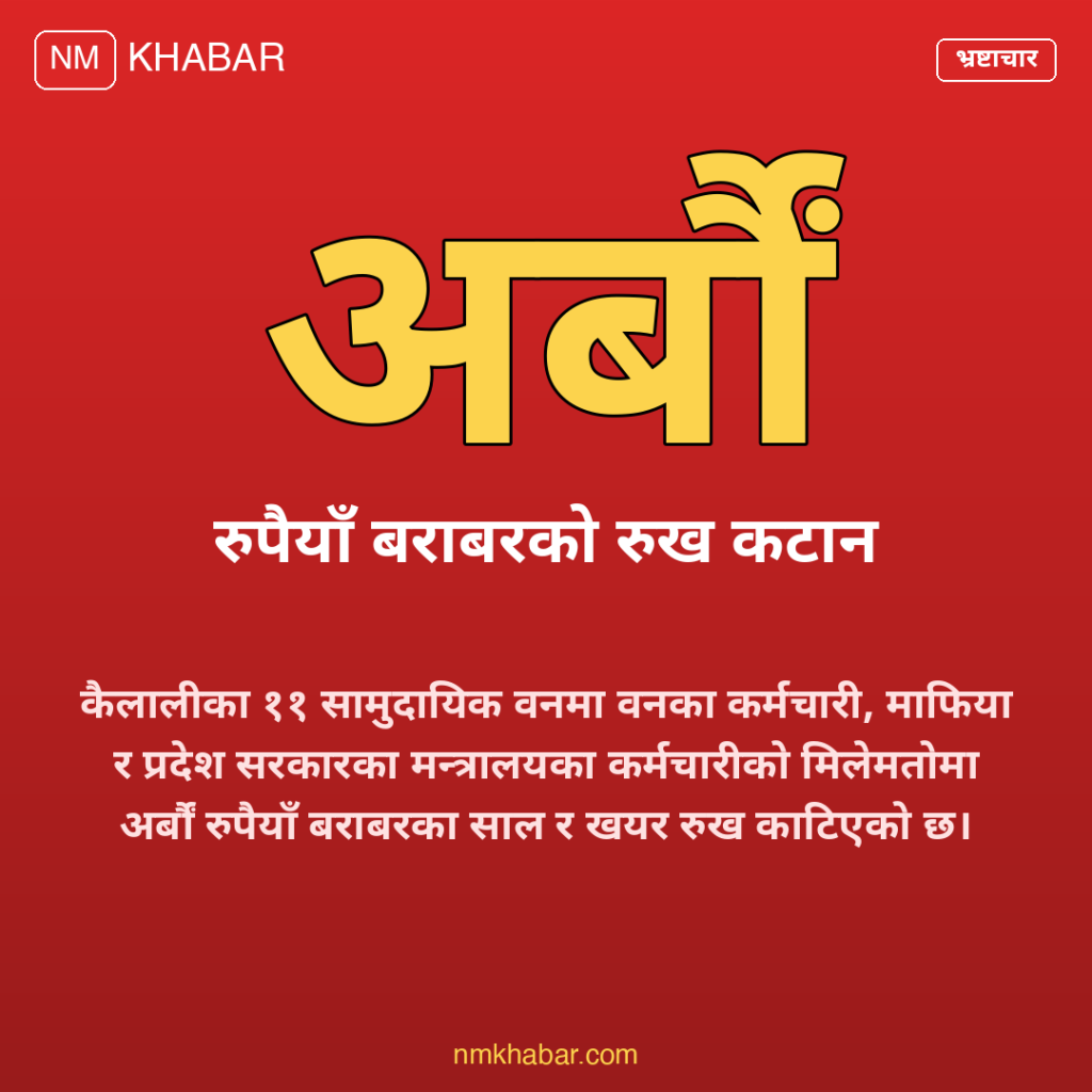 कैलाली वन अनियमितता