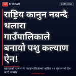 पशु कल्याण ऐन