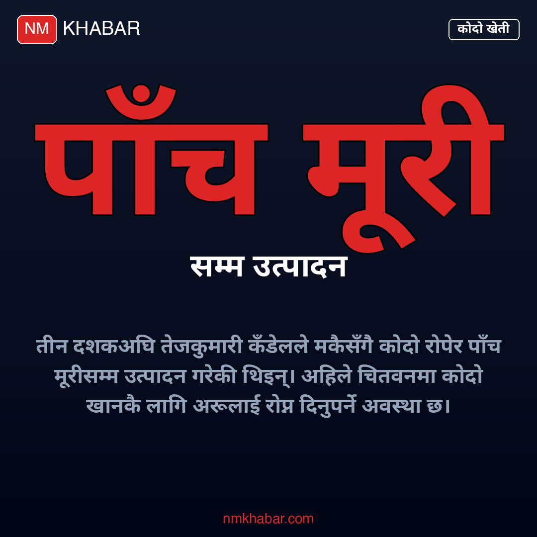 कोदो खेती भरतपुर