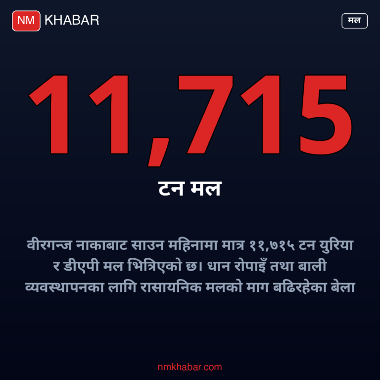 वीरगन्ज मल आयात