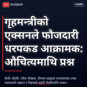 फौजदारी धरपकड