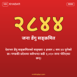 डेंगु सङ्क्रमित