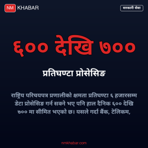 डिजिटल सरकारी सेवा