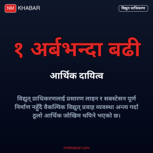 विद्युत् प्राधिकरण दायित्व