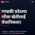 गाँजा विधेयक गण्डकी