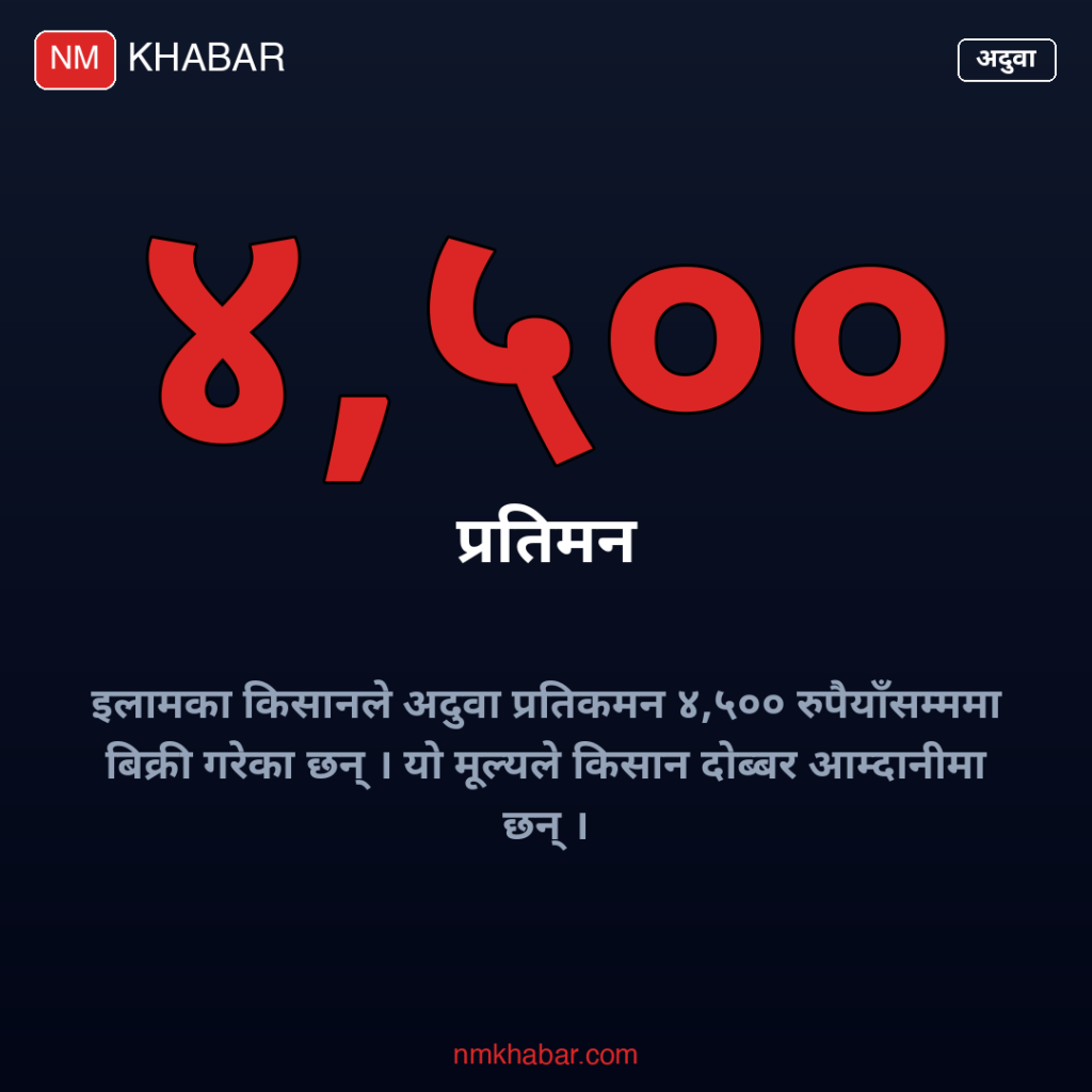 इलाम अदुवा खेती