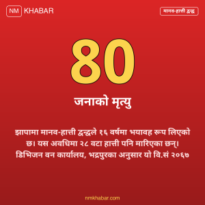 मानव हात्ती द्वन्द्व झापा
