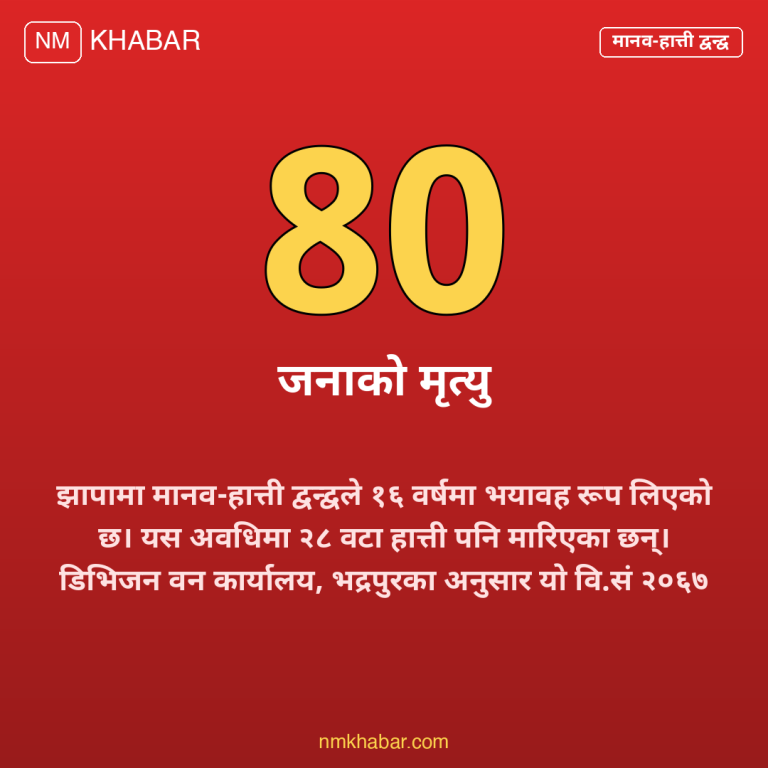 मानव हात्ती द्वन्द्व झापा