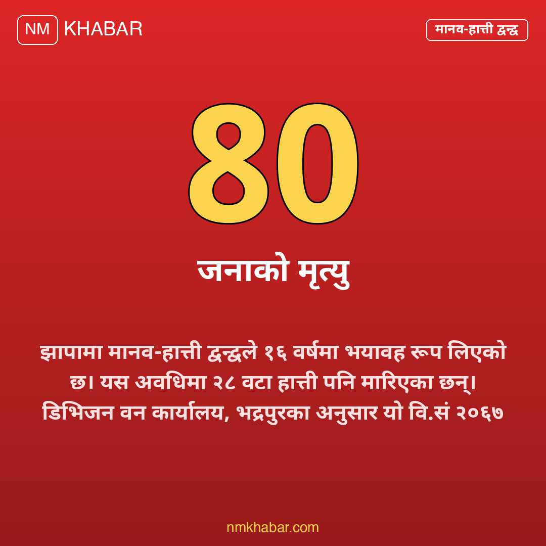 मानव हात्ती द्वन्द्व झापा