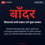कैलालीमा बाँदरको आतङ्क