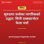 मिनी एक्स्काभेटर उद्धार