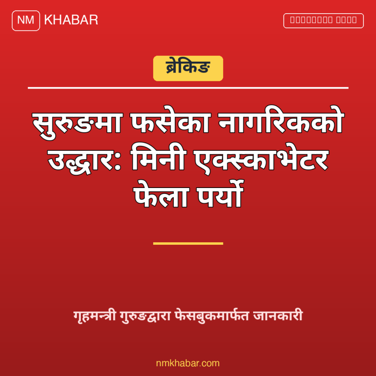 मिनी एक्स्काभेटर उद्धार