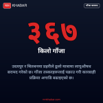 गाँजासहित तीन पक्राउ