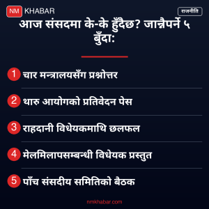 प्रतिनिधिसभा बैठक