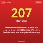 पर्सामा गाँजा बरामद