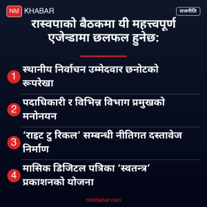 रास्वपा केन्द्रीय समिति बैठक
