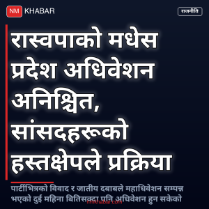 रास्वपा मधेश अधिवेशन