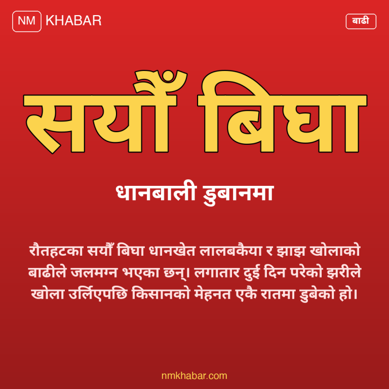 रौतहट बाढी धानबाली