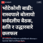 रवि लामिछाने सर्वदलीय बैठक