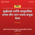 भरुवा बन्दुक बरामद