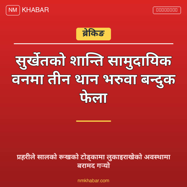 भरुवा बन्दुक बरामद
