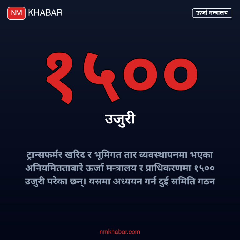 विद्युत् प्राधिकरण अनियमितता