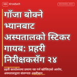 विराटनगर गाँजा प्रकरण