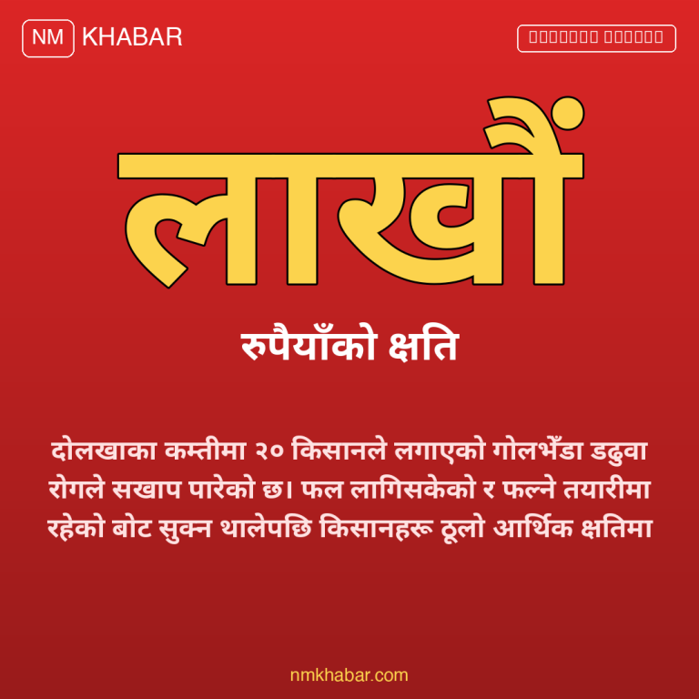 गोलभेडा डढुवा रोग दोलखा