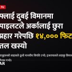 फ्लाई दुबई विमान दुर्घटना, पाइलट आक्रमण, यात्रुको साहस