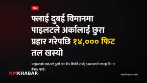 फ्लाई दुबई विमान दुर्घटना, पाइलट आक्रमण, यात्रुको साहस